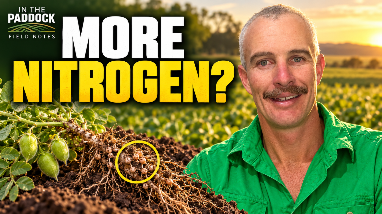 Martin Murray in a green shirt beside conceptual chickpea root artwork and the words More Nitrogen