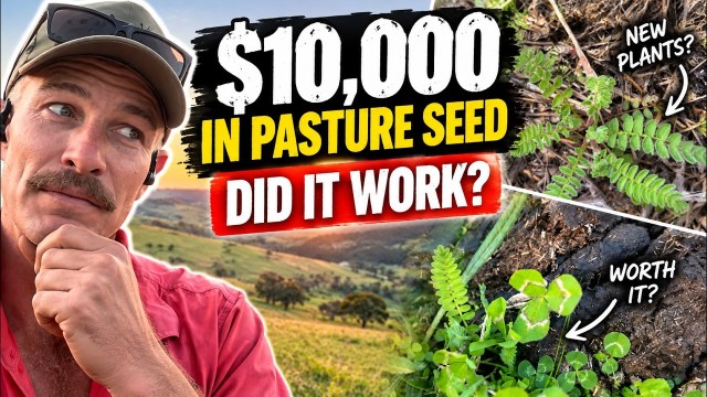 Pasture trial video thumbnail